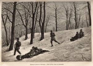 Luges and Skaters at the Plateau du Mont-Royal by Edouard Riou