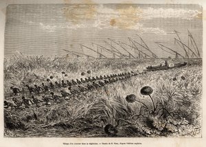 The hauling of a steamer through the vegetation rafts that invade the hollow canal to leave a marsh, etched after a drawing by E. Riou, illustrating an armed expedition in Central Africa, for the suppression of the black trade