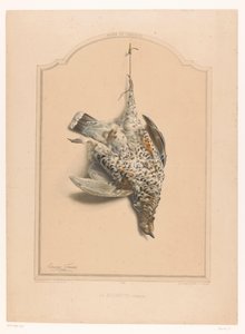 Dead Female Grouse Hanging by a Leg by Edouard Travies