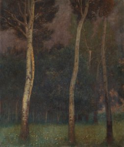 Lower Austrian Tree Landscape