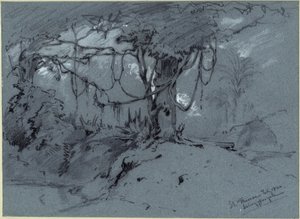 Tree with Vines