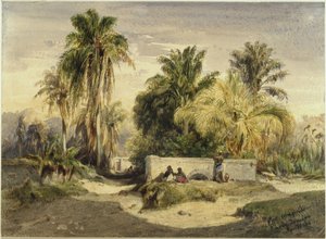 Rio Comprido, Rio de Janeiro by Eduard Hildebrandt