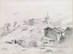 Sao Paulo, Tamandatay by Eduard Hildebrandt