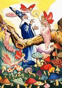 Wizard in the Mushroom Forest by Eduardo Teixeira Coelho