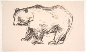 Bears