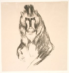 Gorilla (Mandrill) by Edvard Munch