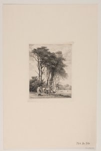 Landscape. Cows by a Forest