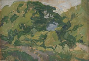 Landscape, Christiansø by Edvard Weie