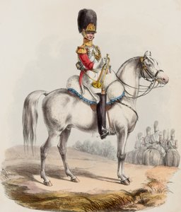 1st Life Guards, Trumpeter