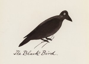 Edward Lear, The Bird Book: The Black Bird