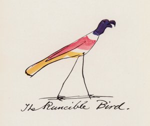 Edward Lear, The Bird Book: The Runcible Bird