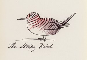 The Bird Book: The Stripy Bird