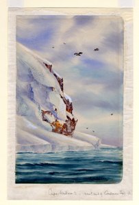 Cape Wadsworth, Coulman Island by Edward Adrian Wilson