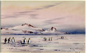 The Discovery Winter Quarters, c.1901-04