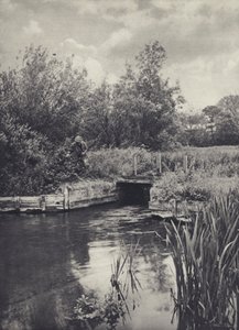 A Small Carrier on the Ramsbury Water by Edward Alfred Barton