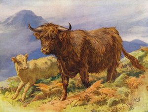 Highland Cow and Calf by Edward Brice Montefiore
