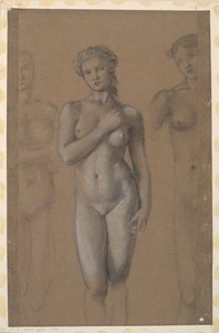 Female Nude - Three Studies, Possibly for Venus by Edward Burne-Jones