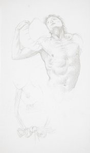 Male Nude Holding a Cushion