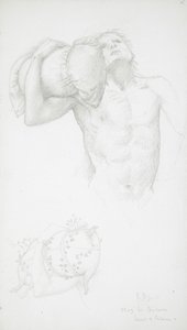 Male Nude Holding a Cushion