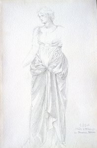 Study of Minerva