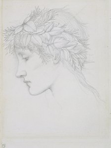 Head crowned with leaves, c.1897