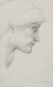 Head