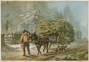 A man leading a donkey
