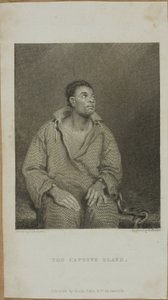 The Captive Slave