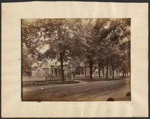 Houses, Maple City