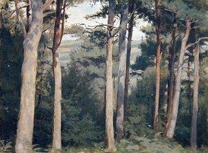 Lambert Castle by Edward Ingram Taylor