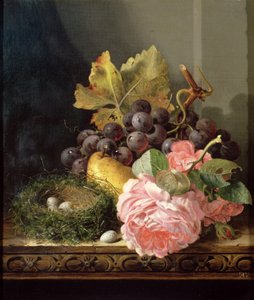 Unknown Image