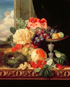 Unknown Image