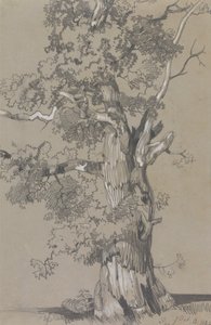 Parham, October 13, 1834 by Edward Lear