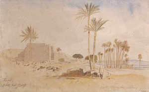 Tapha, 7:50 a.m., February 17, 1867 by Edward Lear