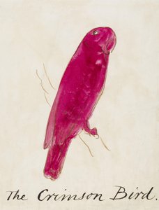 The Crimson Bird, from Sixteen Drawings of Comic Birds