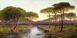 The Pineta, Ravenna