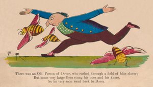 There was an Old Person of Dover... by Edward Lear