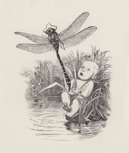 Illustration for The Water-Babies by Charles Kingsley by Edward Linley (after) Sambourne