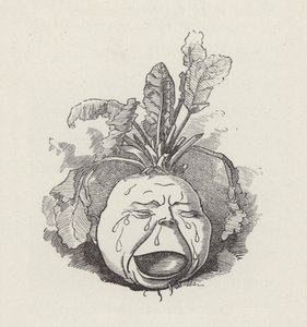 Illustration for The Water-Babies by Charles Kingsley by Edward Linley (after) Sambourne