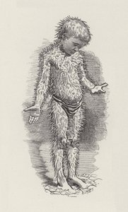 Illustration for The Water-Babies by Charles Kingsley by Edward Linley (after) Sambourne