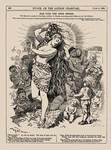Our Plea for Open Spaces by Edward Linley Sambourne