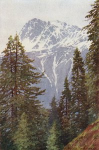Kotwal from the Forest Above Kangan, Sind Valley by Edward Mary Joseph Molyneux