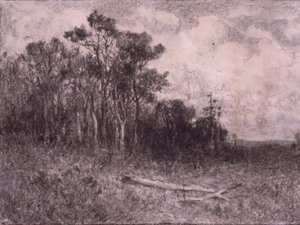 Landscape, Woodland Scene