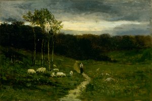 Woman Walking Down Path