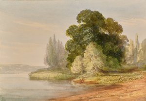 Landscape with trees by Edward Pretty