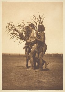 Arikara Medicine Ceremony - the Ducks