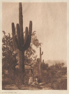 Portfolio II, Plates 40-75