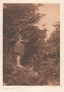 Portfolio IX, Plates 293-328