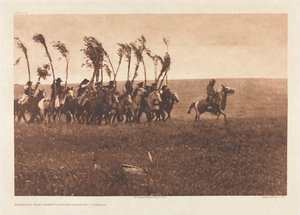 Portfolio VI, Plate 205: Bringing the Sweat-Lodge Willows - Piegan