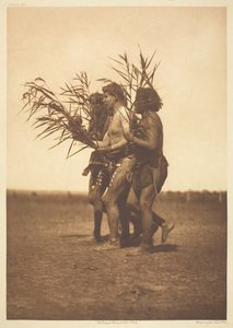 Arikara Medicine Ceremony - the Ducks, 1908